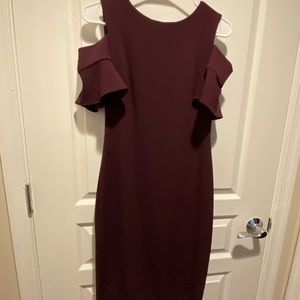 NWOT Calvin Klein Deep Purple Dress